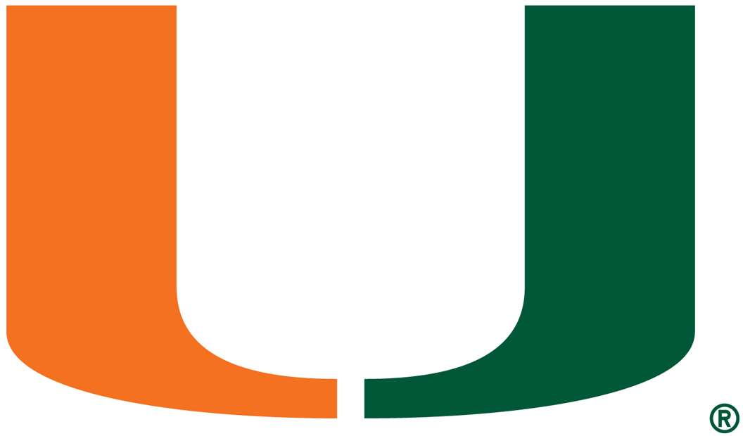 Miami Hurricanes 1972-Pres Primary Logo DIY iron on transfer (heat transfer)